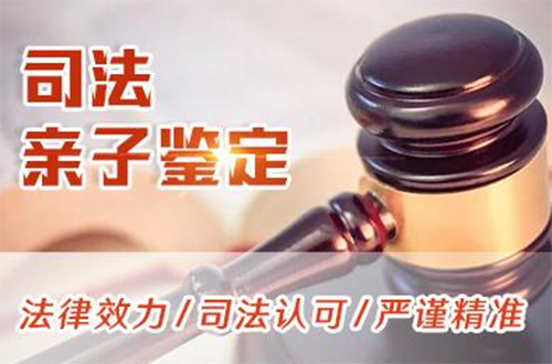 合肥司法DNA鉴定需要怎么做,合肥司法亲子鉴定需要多少费用